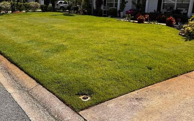 Photo of Alexandria H.'s yard after getting lawn care in Cape Canaveral, FL