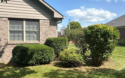 Photo of Francisco F.'s yard after getting lawn care in Salem, IN