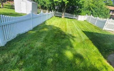 Photo of Ligia F.'s yard after getting lawn care in Bensenville, IL