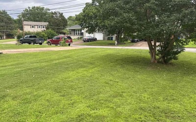Photo of Natasha C.'s yard after getting lawn care in Goose Creek, SC