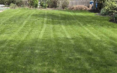 Photo of David G.'s yard after getting lawn care in Schwenksville, PA