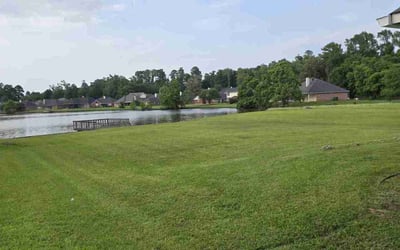 Photo of Deborah W.'s yard after getting lawn care in Williamsburg, VA