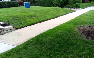 Photo of Heather B.'s yard after getting lawn care in Glen Ellyn, IL