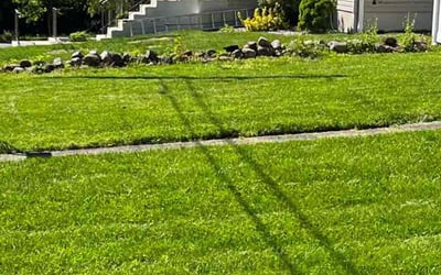 Photo of Marilyn L.'s yard after getting lawn care in South Richmond Hill, NY