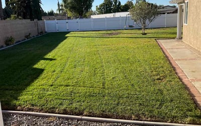 Photo of Robert G.'s yard after getting lawn care in Ontario, CA
