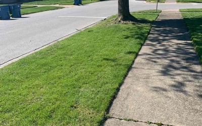 Photo of Tammy K.'s yard after getting lawn care in Highland, IN