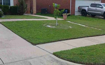 Photo of Candice R.'s yard after getting lawn care in Queens Village, NY