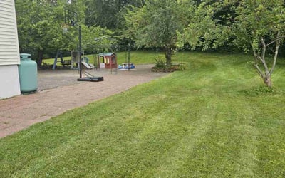 Photo of Lesia R.'s yard after getting lawn care in Salem, NH