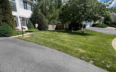 Photo of Maham A.'s yard after getting lawn care in Lawrenceville, GA