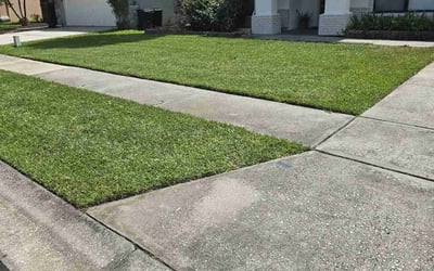 Photo of Maisoun H.'s yard after getting lawn care in Macomb, MI