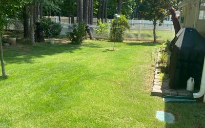 Photo of Greg B.'s yard after getting lawn care in Burlington, NJ
