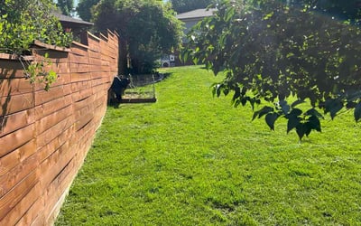 LawnStarter Lawn Care Service