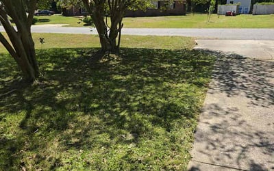 Photo of David G.'s yard after getting lawn care in Trussville, AL
