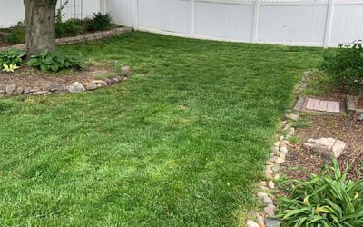 Photo of Robin S.'s yard after getting lawn care in Browns Mills, NJ