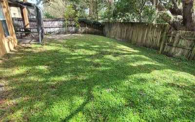 Photo of Natasha L.'s yard after getting lawn care in Alafaya, FL