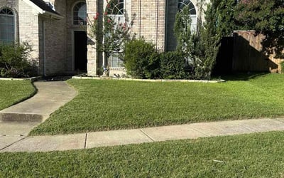 Photo of Nikki H.'s yard after getting lawn care in Norton, MA