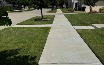 Photo of Andrew D.'s yard after getting lawn care in Raleigh, NC