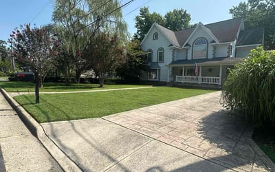 Photo of John G.'s yard after getting lawn care in Alexandria, VA