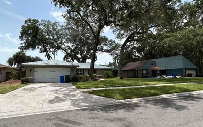 Photo of Barbara G.'s yard after getting lawn care in Tampa, FL