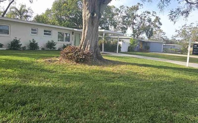 Photo of Josh C.'s yard after getting lawn care in Panama City Beach, FL