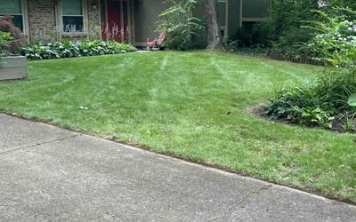 Photo of Dale S.'s yard after getting lawn care in Centerville, OH