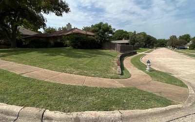 Photo of Celina Z.'s yard after getting tree care in Seguin, TX