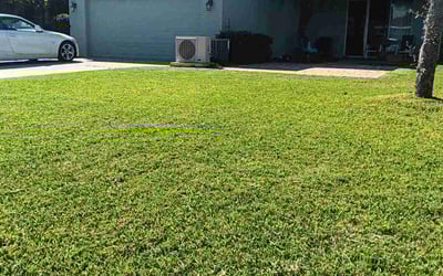 Photo of Kathy S.'s yard after getting lawn care in Miami Beach, FL