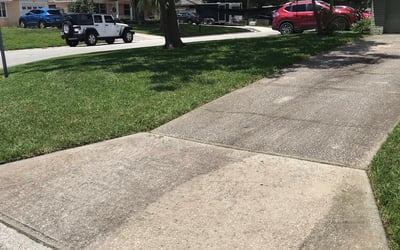 Photo of Michael H.'s yard after getting lawn care in Ashland, OR
