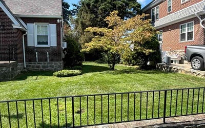 Photo of Thor M.'s yard after getting lawn care in Brookhaven, PA