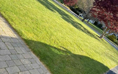 Photo of Jesica W.'s yard after getting lawn care in Coventry, RI