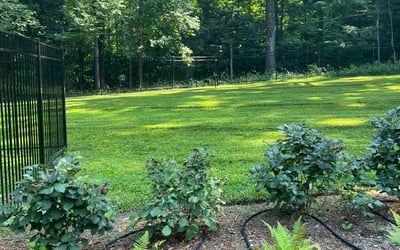 Photo of Sam J.'s yard after getting lawn care in Lincolnton, NC