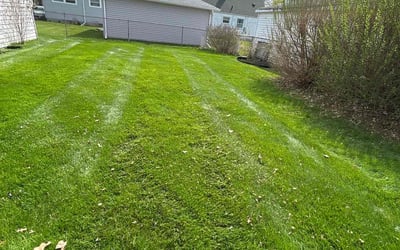Photo of Ronald J.'s yard after getting lawn care in Roseville, MI