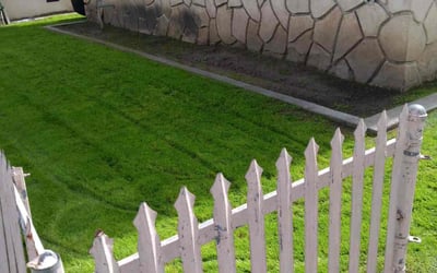 Photo of Bernard B.'s yard after getting lawn care in Castaic, CA
