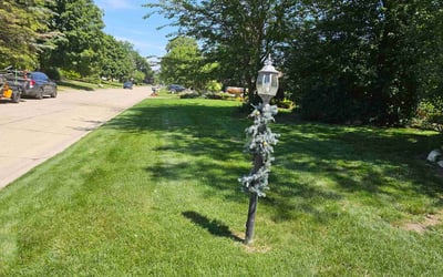 Photo of Eric S.'s yard after getting lawn care in Long Beach, CA