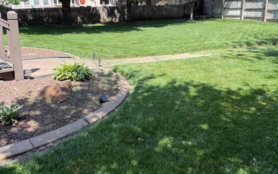 Photo of Matt F.'s yard after getting lawn care in Yorktown, VA