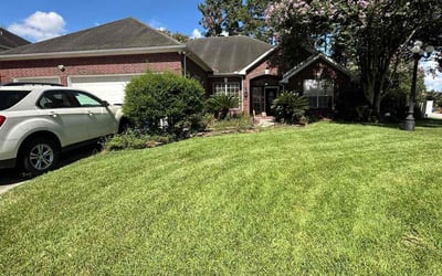Photo of Karen B.'s yard after getting lawn care in Buckeye, AZ