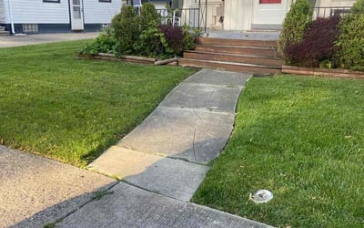 Photo of Justin L.'s yard after getting lawn care in New Orleans, LA