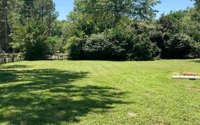 Photo of Julie B.'s yard after getting lawn care in Nanticoke, PA