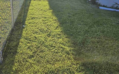 Photo of Justin H.'s yard after getting lawn care in Garfield, NJ