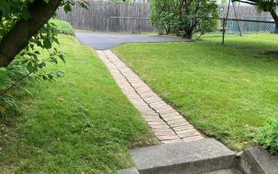 Photo of Denise G.'s yard after getting lawn care in Carbondale, PA