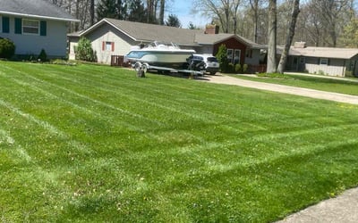 Photo of Imani W.'s yard after getting lawn care in Lagrange, OH