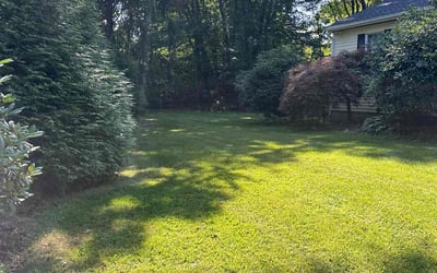 Photo of Dinah H.'s yard after getting lawn care in North Attleboro, MA