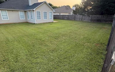 Photo of Mary P.'s yard after getting lawn care in Upper Darby, PA