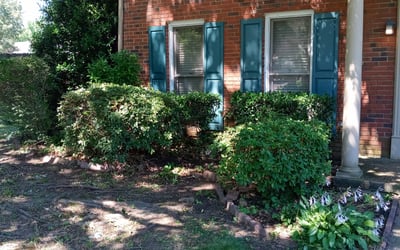 Photo of Lori A.'s yard after getting lawn care in O'Fallon, MO
