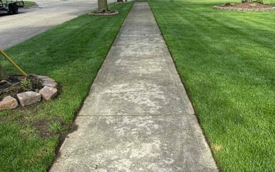 Photo of Mandy P.'s yard after getting lawn care in Hamtramck, MI