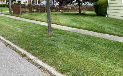 Photo of Peter H.'s yard after getting lawn care in East Aurora, NY