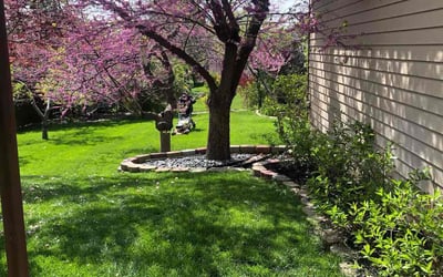 Photo of Denise M.'s yard after getting lawn care in Lincoln, NE