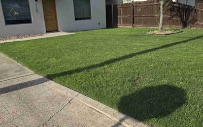 Photo of Kylee G.'s yard after getting lawn care in Edinburg, TX