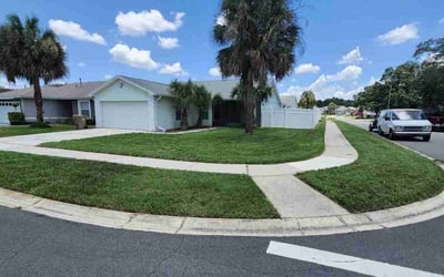 Photo of Rochelle W.'s yard after getting lawn care in Wendell, NC