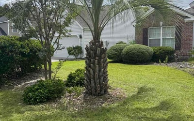 Photo of Kendra R.'s yard after getting lawn care in Nanticoke, PA
